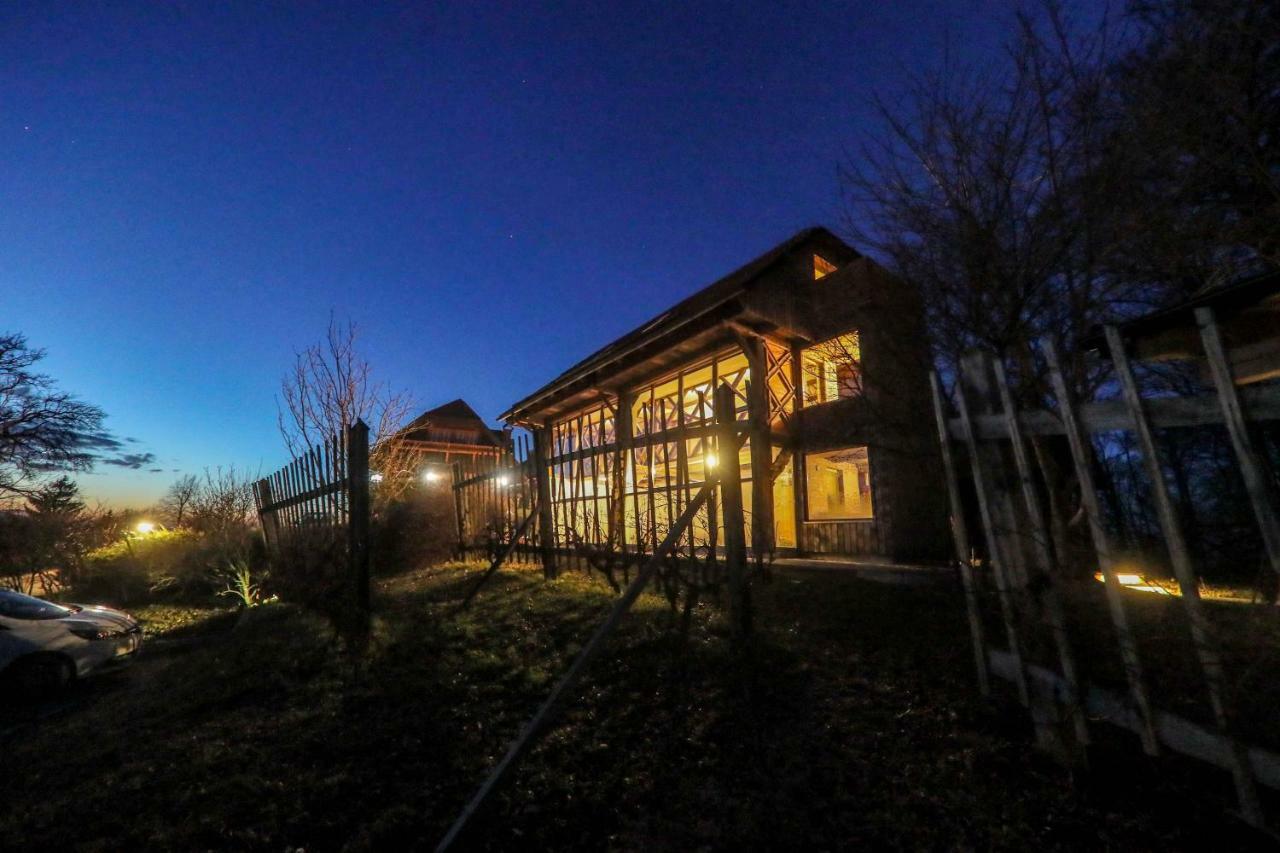 Country House Na Skaluc Konuk evi Laško Dış mekan fotoğraf